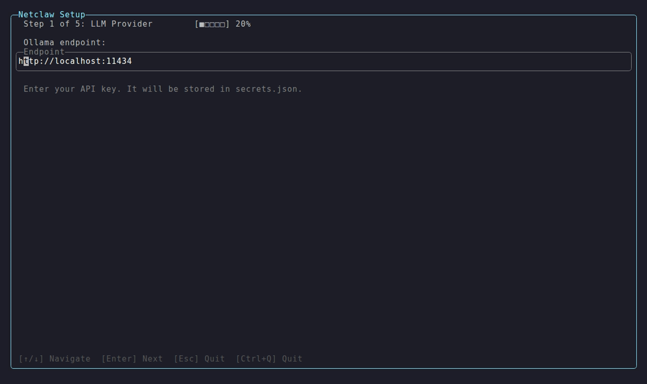 Ollama provider setup during the init wizard
