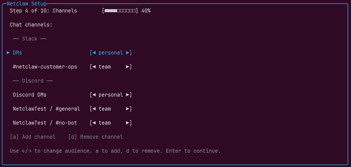 Per-channel audience configuration during netclaw init