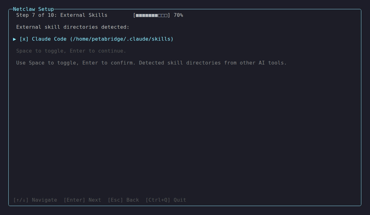 External skills configuration during init