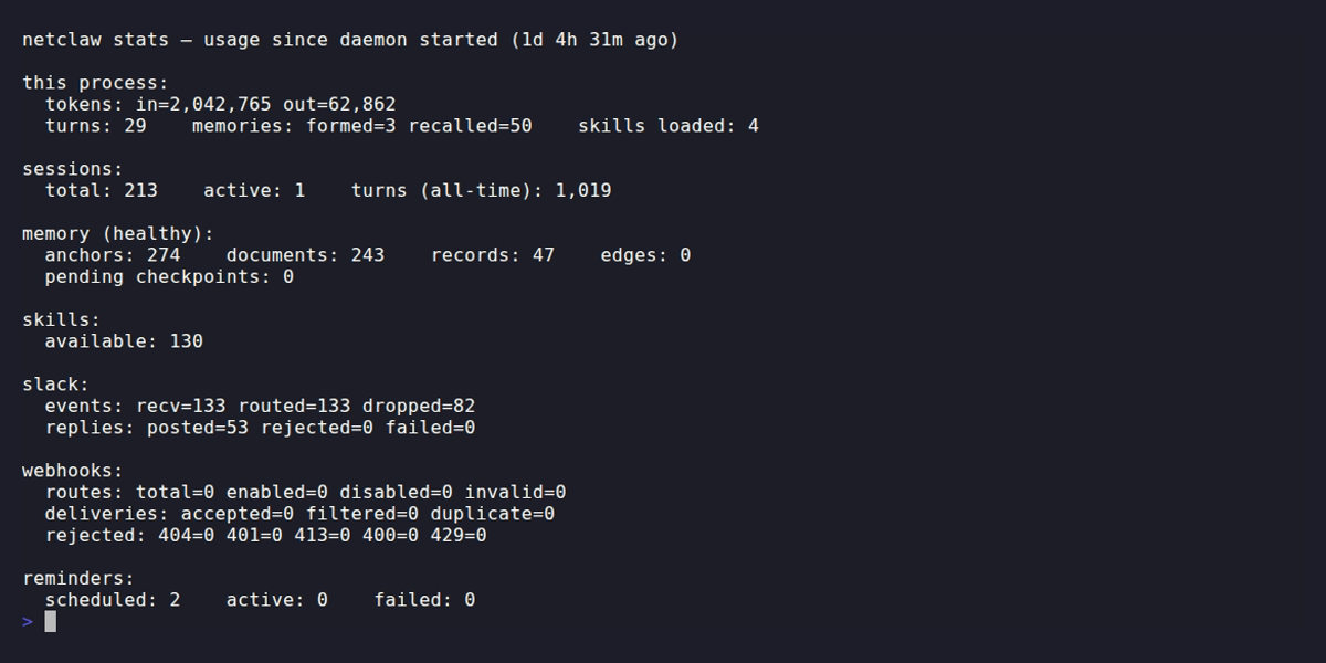 netclaw stats showing token usage, sessions, memory, channel activity, webhooks, and reminders