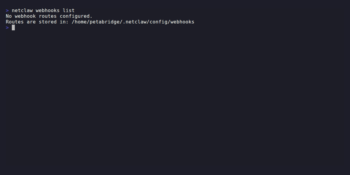 netclaw webhooks list showing no routes configured and the route directory path